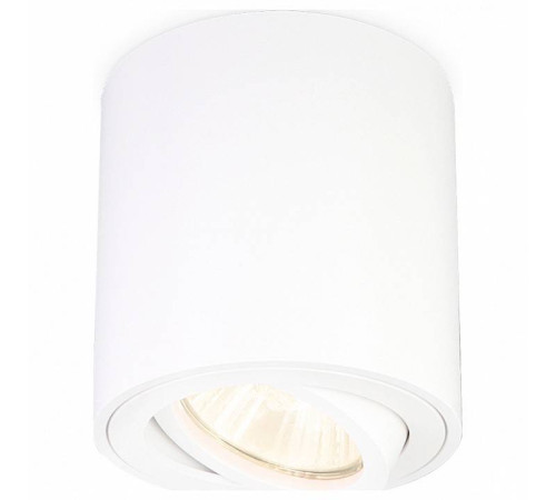 Накладной светильник Ambrella Light TN TN22701