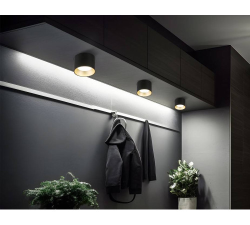 Накладной светильник Ambrella Light TN TN52887