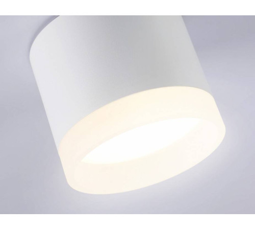 Накладной светильник Ambrella Light TN TN5365