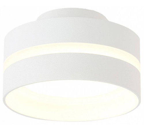 Накладной светильник Ambrella Light TN TN5419