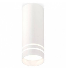 Накладной светильник Ambrella Light XS XS7442013