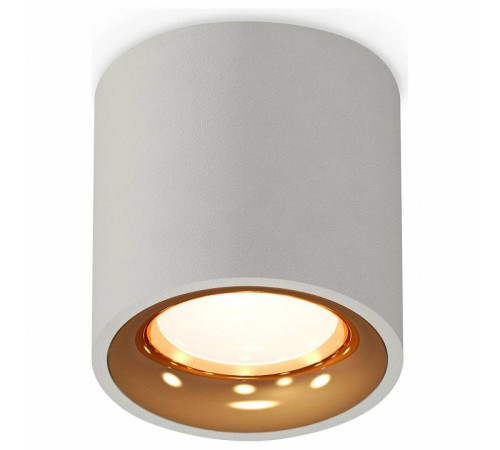 Накладной светильник Ambrella Light XS XS7533024