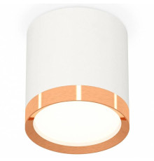 Накладной светильник Ambrella Light XS XS8141005