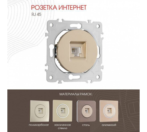 Розетка Ethernet RJ-45 без рамки Arte Milano am-202 202.45-1.shampan