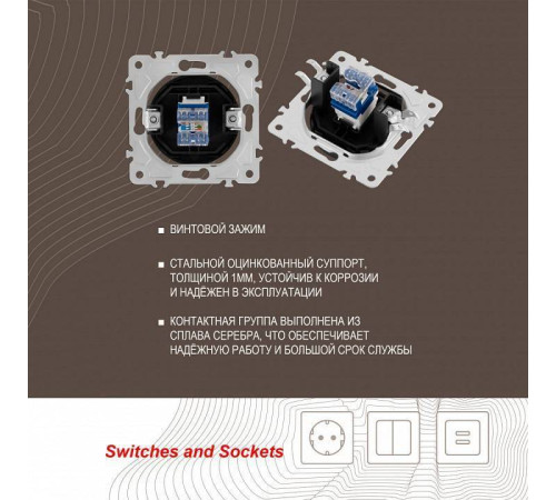 Розетка Ethernet RJ-45 без рамки Arte Milano am-202 202.45-1.shampan