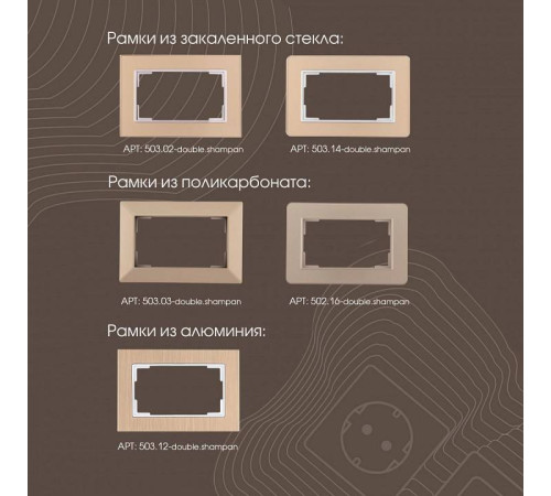 Розетка двойная с заземлением, без рамки Arte Milano am-203 203.40-2.shampan