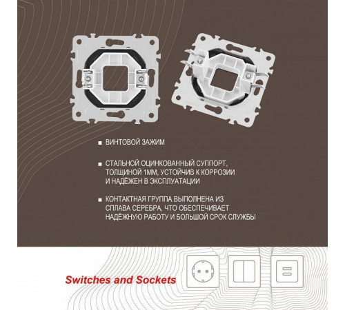 Розетка для вывод кабеля без рамки Arte Milano am-203 203.49-1.shampan
