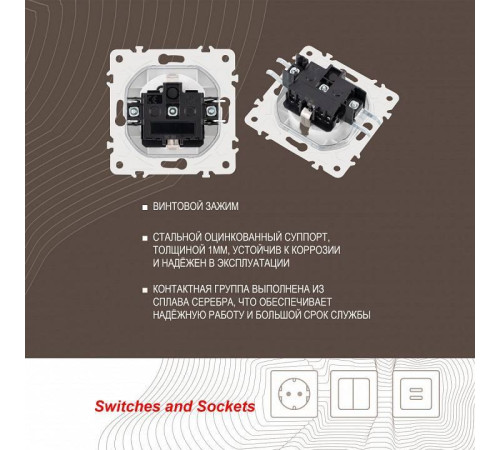 Розетка с заземлением и со шторкой, без рамки Arte Milano am-205 205.40-1.white