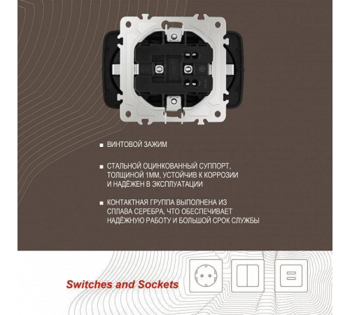 Розетка двойная с заземлением, без рамки Arte Milano am-205 205.40-2.black