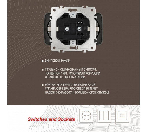 Розетка двойная с заземлением, без рамки Arte Milano am-205 205.40-2.shampan