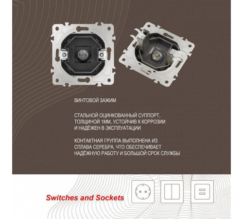 ТВ-розетка без рамки Arte Milano am-206 206.42-1.shampan