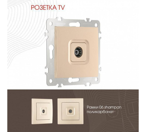 ТВ-розетка без рамки Arte Milano am-206 206.43-1.shampan