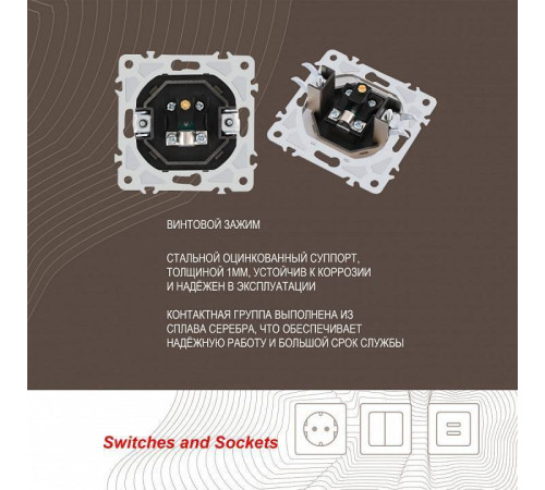 ТВ-розетка без рамки Arte Milano am-206 206.43-1.shampan