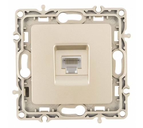 Розетка Ethernet RJ-45 без рамки Arte Milano am-217 217.45-1.shampan