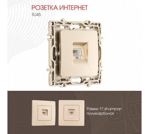 Розетка Ethernet RJ-45 без рамки Arte Milano am-217 217.45-1.shampan