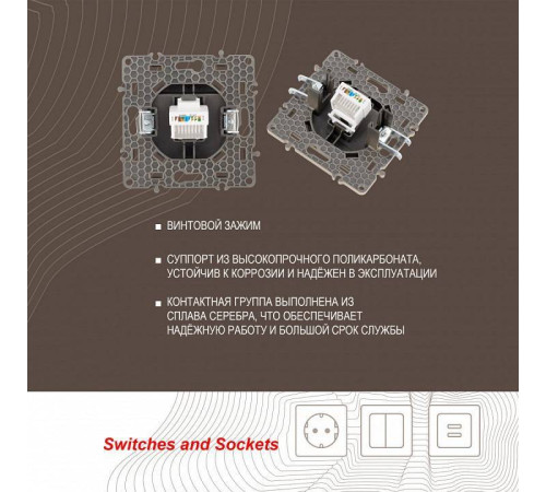Розетка Ethernet RJ-45 без рамки Arte Milano am-217 217.45-1.shampan