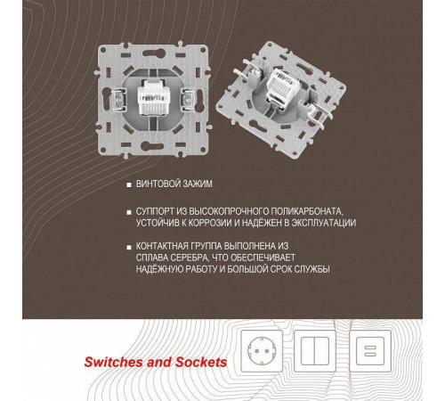 Розетка Ethernet RJ-45 без рамки Arte Milano am-217 217.45-1.silver