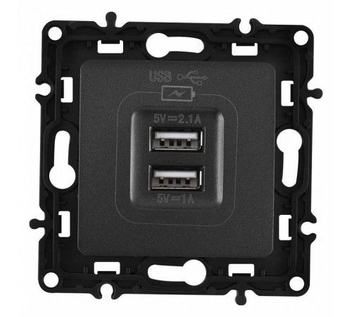 Розетка USB, без рамки Arte Milano am-217 217.46-1.black