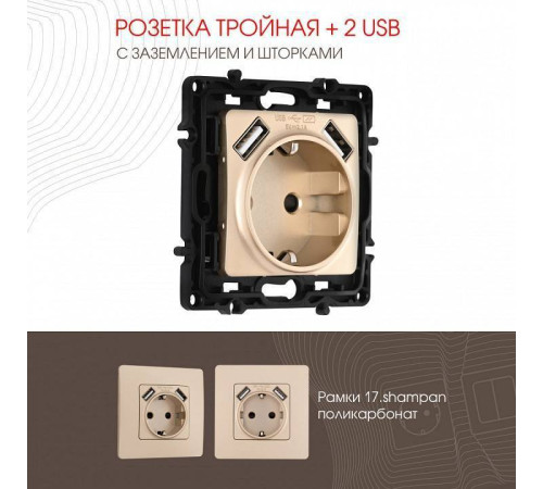 Розетка с заземлением и со шторкой и 2хUSB, без рамки Arte Milano am-217 217.47-1.shampan