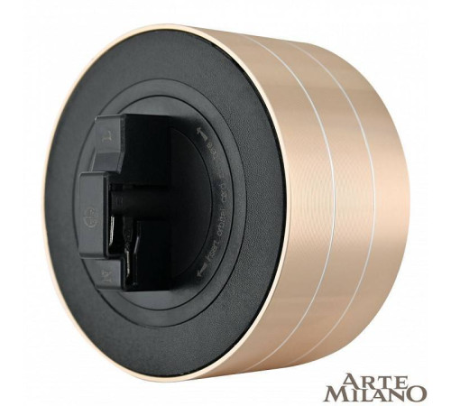 Розетка с заземлением для трека Arte Milano Am-track-sockets золото 380011TS/ES Gold