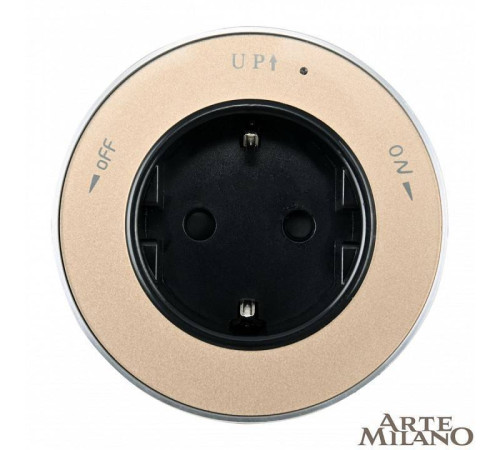 Розетка с заземлением для трека Arte Milano Am-track-sockets золото 380011TS/ES Gold