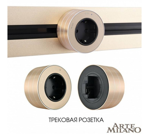 Розетка с заземлением для трека Arte Milano Am-track-sockets золото 380011TS/ES Gold