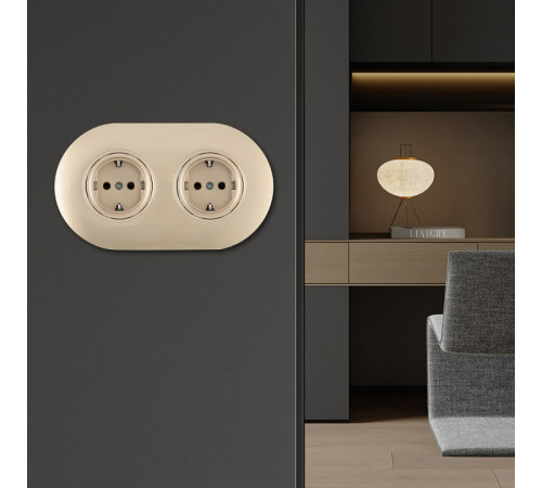 Розетка с заземлением и со шторкой Arte Milano SET08-2 SET08-2-40-1x2 shampan