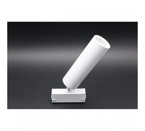 Светильник на штанге Aployt Magnetic track 220 APL.0210.11.01