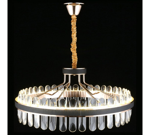 Подвесной светильник Aployt Honori APL.027.03.102