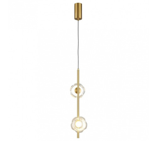 Подвесной светильник Aployt Tereze APL.074.06.02