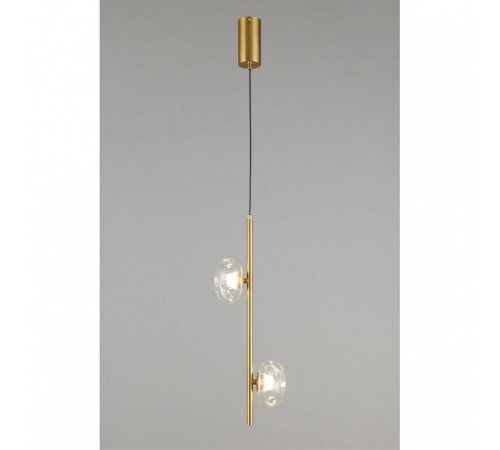 Подвесной светильник Aployt Tereze APL.074.06.02