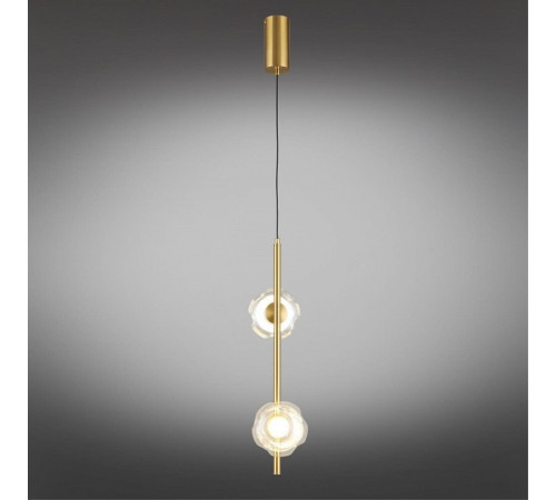 Подвесной светильник Aployt Tereze APL.074.06.02