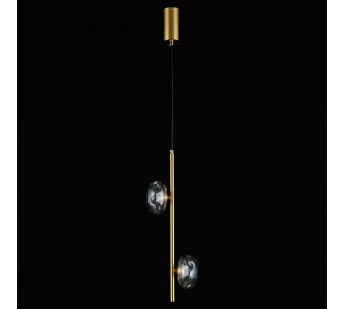 Подвесной светильник Aployt Tereze APL.074.06.02