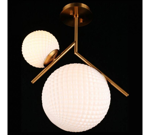 Светильник на штанге Aployt Marzena APL.300.07.02