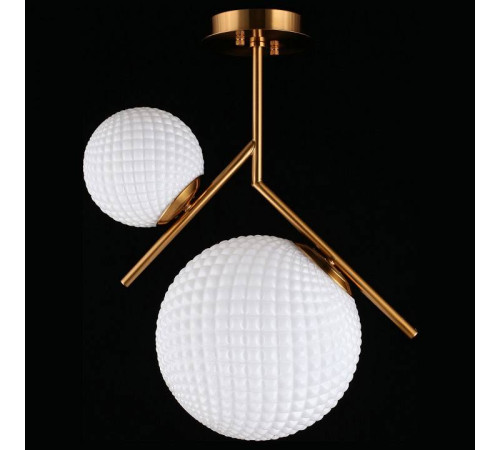 Светильник на штанге Aployt Marzena APL.300.07.02