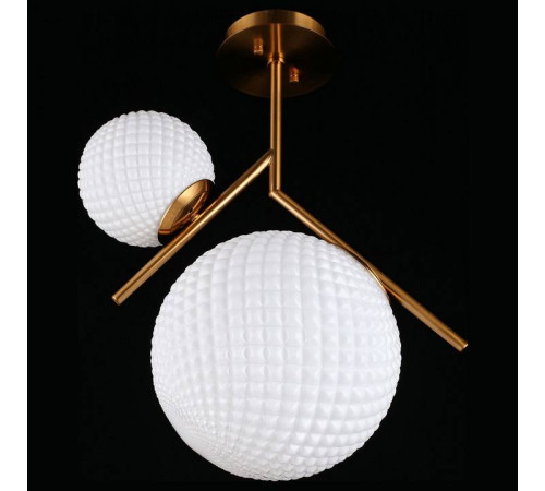 Светильник на штанге Aployt Marzena APL.300.07.02