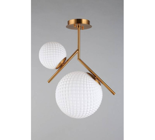 Светильник на штанге Aployt Marzena APL.300.07.02