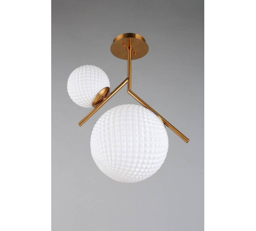 Светильник на штанге Aployt Marzena APL.300.07.02