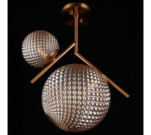 Светильник на штанге Aployt Marzena APL.300.17.02