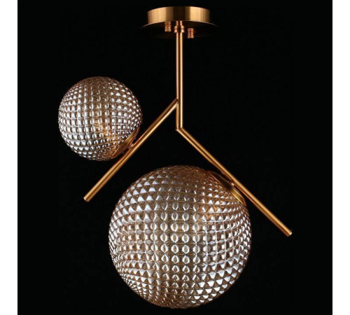 Светильник на штанге Aployt Marzena APL.300.17.02