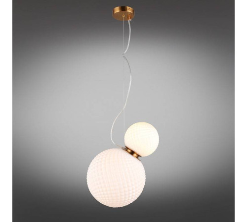 Подвесной светильник Aployt Patunia APL.301.06.02