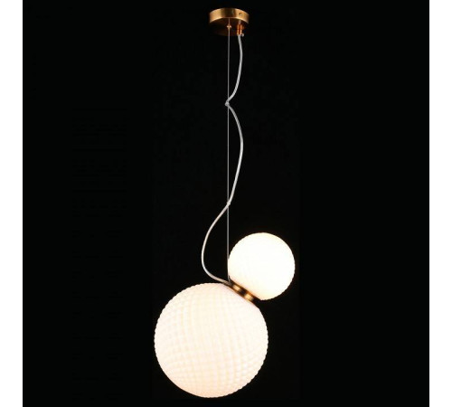 Подвесной светильник Aployt Patunia APL.301.06.02