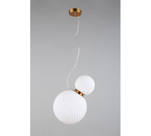 Подвесной светильник Aployt Patunia APL.301.06.02