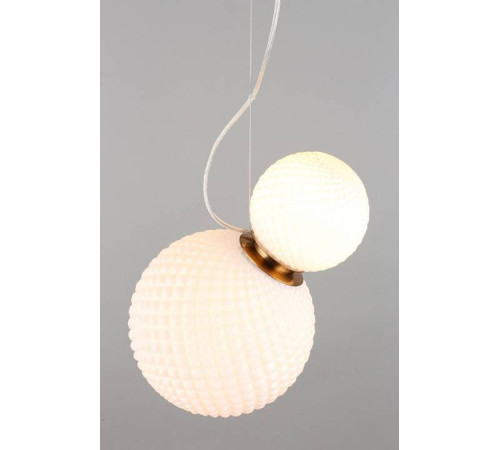 Подвесной светильник Aployt Patunia APL.301.06.02
