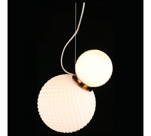 Подвесной светильник Aployt Patunia APL.301.06.02