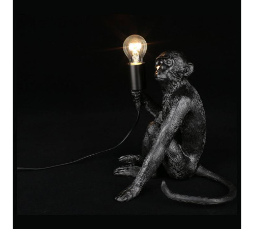 Зверь световой Aployt Magali APL.309.24.01