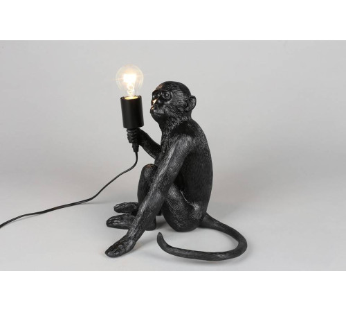 Зверь световой Aployt Magali APL.309.24.01