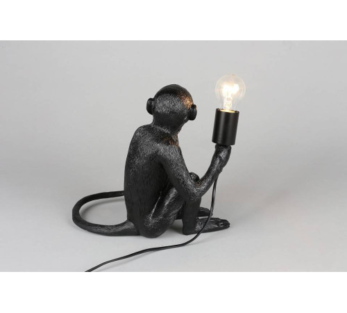 Зверь световой Aployt Magali APL.309.24.01