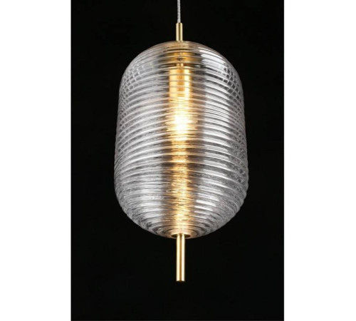 Подвесной светильник Aployt Mattia APL.316.16.01