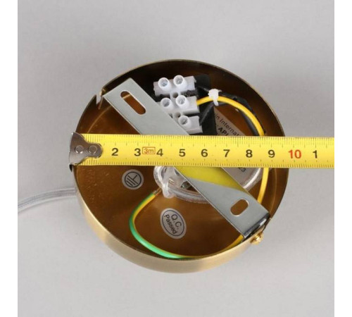 Подвесной светильник Aployt Rosabella APL.320.06.01